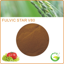 Fulvate Fertilizer in Agricultural